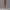 Streetwear Minimalist Legging Wanita tan brown photo 1