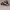Adidas Casual Sneakers Wanita burgundy photo 1