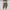 Biker Sportswear Legging Wanita green photo 1