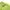 Kappa Streetwear Casual Hoody Pria multicolor green photo 2