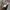 Lolita Fairy Kids multicolor photo 6