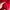 Adidas Sportswear Casual Windbreaker Pria red photo 4