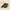 Nike Sportswear Casual Sneakers Pria brown photo 2