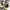 New Balance Sportswear Casual Sneakers Pria silver photo 7