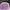 Stussy Streetwear Casual Hat Pria purple photo 3