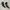 Rotelli Vintage Grunge Heels Wanita black cream photo 3