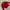 Le Coq Sportif Casual Sweatshirt Pria red photo 2