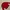 Le Coq Sportif Casual Sweatshirt Pria Red