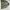 IAB Studio Streetwear Puffer jacket Pria green gray photo 4