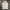 Adidas Vintage T-shirt Pria white black photo 2