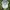 Vintage Streetwear Hat Pria white green photo 4