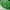 Vintage Streetwear Hat Pria White Green