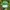 Vintage Streetwear Hat Pria white green photo 1