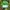 Vintage Streetwear Hat Pria White Green