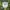 Vintage Streetwear Hat Pria white green photo 3