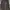 ZARA Luxury Casual Trench Coat Wanita Brown