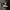 VANS Casual Sneakers Pria White Black