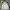 Japanese brand Streetwear Windbreaker Pria white blue photo 5