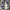 Japanese brand Streetwear Windbreaker Pria white blue photo 4
