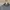 Polo Ralph Lauren Streetwear Casual Sweatshirt Pria gray photo 2