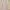 Coquette Minimalist Midi Dress Wanita Pink