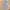 Minimalist Casual Midi dress Wanita multicolor blue photo 1