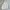 Fila Streetwear Harrington jacket Wanita silver photo 4
