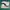 Nike Vintage Casual Sneakers Pria white gray photo 4