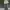 Y2K Skater Formal shirt Pria green yellow photo 2