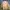 Minimalist Casual Bomber jacket Pria tan khaki photo 2