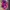 Streetwear Cosplay Pria purple pink photo 1