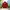 Vintage Casual Track jacket Pria red photo 3