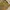 Mountain Hardwear Gorpcore Avant Garde Pria khaki orange photo 3