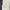 Jiniso Minimalist Casual Jeans Pria white photo 6
