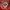Tommy Hilfiger Polo Shirt Pria Red
