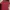 Tommy Hilfiger Polo Shirt Pria Red