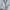 GAP Streetwear Minimalist Hoody Pria white photo 2