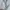 GAP Streetwear Minimalist Hoody Pria White