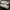 Brash Casual Sneakers Wanita gray photo 1