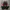 Japanese brand Vintage Streetwear Parka Pria red black photo 1