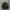 Dolce & Gabbana Streetwear Casual Parka Pria black photo 2