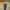Streetwear Harrington Jacket Pria Green