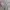 Pink lace princess party dress brand photo 5