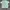 Indie Minimalist Blouse Wanita white green photo 1