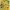 Casual Pakaian adat Casual dress Wanita yellow photo 2