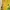 Casual Pakaian adat Casual dress Wanita yellow photo 3