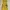 Casual Pakaian adat Casual dress Wanita yellow photo 4