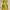 Casual Pakaian adat Casual dress Wanita yellow photo 5