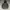 Carhartt Streetwear Y2K Puffer jacket Pria gray photo 1