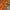 H&M Indie Coquette Crop top Wanita orange photo 2